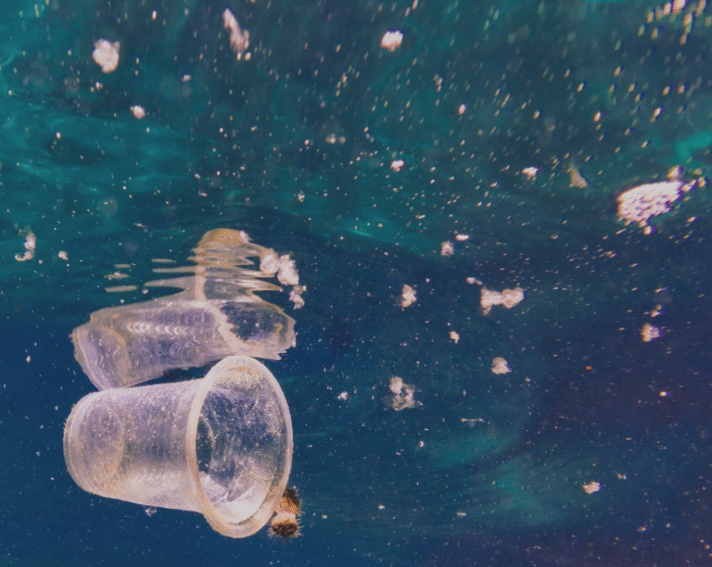 Hidden Threat of Plastic Waste on Our Drinking Water